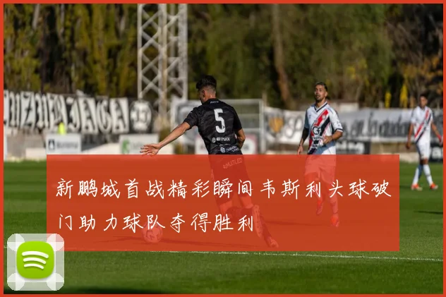 新鹏城首战精彩瞬间韦斯利头球破门助力球队夺得胜利